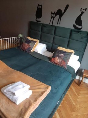 Apartament Koci Łeb